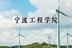 宁波工程学院2024在青海录取分数线是多少？最低345分/最高430分