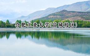 合肥工业大学(宣城校区)2024在青海录取分数线是多少？最低401分/最高472分