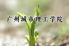 广州城市理工学院2024在青海录取分数线是多少？最低322分/最高381分