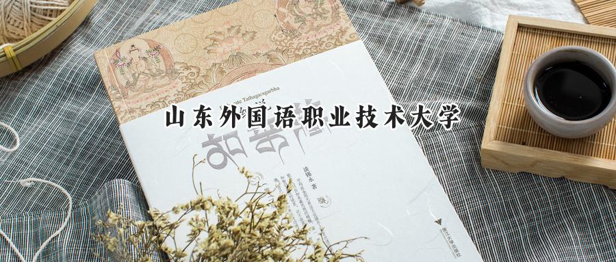 山东外国语职业技术大学