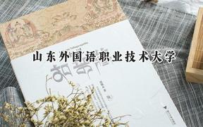 山东外国语职业技术大学2024在山东录取分数线是多少？最低151分/最高491分