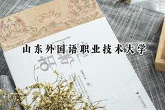 山东外国语职业技术大学2024在山东录取分数线是多少？最低151分/最高491分