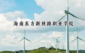 海南东方新丝路职业学院2024在山东录取分数线是多少？最低162分/最高231分