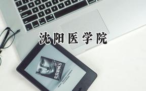 沈阳医学院2024在山东录取分数线是多少？最低508分/最高591分