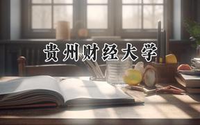 贵州财经大学2024在山东录取分数线是多少？最低492分/最高559分