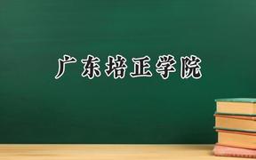 广东培正学院2024在山东录取分数线是多少？最低449分/最高494分