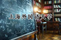 上海外国语大学2024在新疆录取分数线是多少？最低507分/最高548分