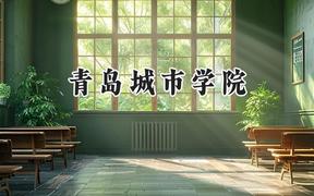 青岛城市学院2024在青海录取分数线是多少？最低325分/最高392分