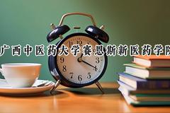 广西中医药大学赛恩斯新医药学院2024在山东录取分数线是多少？最低458分/最高504分