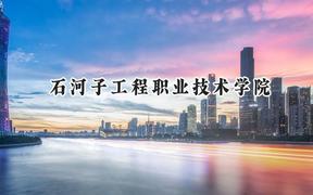 石河子工程职业技术学院2024在山东录取分数线是多少？最低340分/最高375分