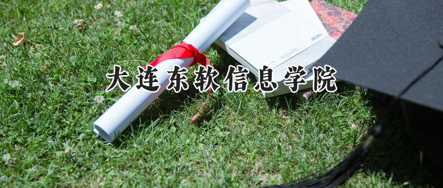 大连东软信息学院