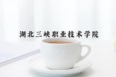 湖北三峡职业技术学院2024在山东录取分数线是多少？最低392分/最高464分