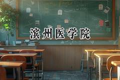 滨州医学院2024在福建录取分数线是多少？最低470分/最高532分