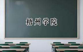 梧州學(xué)院2024在青海錄取分數(shù)線是多少？最低364分/最高428分