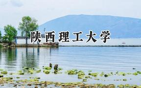 陕西理工大学2024在青海录取分数线是多少？最低398分/最高505分