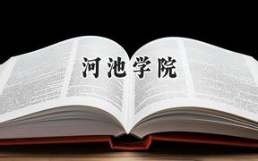 河池学院2024在山东录取分数线是多少？最低463分/最高511分