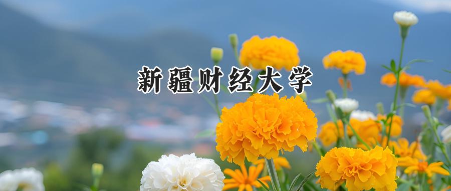 新疆财经大学