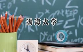 渤海大学2024在福建录取分数线是多少？最低491分/最高547分