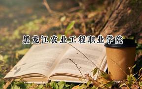 黑龙江农业工程职业学院2024在青海录取分数线是多少？最低267分/最高330分