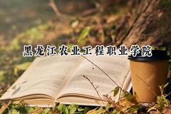 黑龙江农业工程职业学院2024在青海录取分数线是多少？最低267分/最高330分