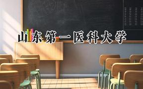 山东第一医科大学2024在山东录取分数线是多少？最低490分/最高578分