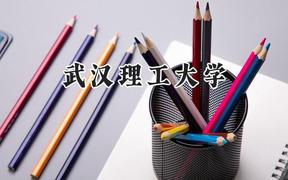 武漢理工大學2024在新疆錄取分數(shù)線是多少？最低505分/最高548分
