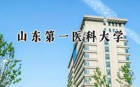 山东第一医科大学2024在福建录取分数线是多少？最低485分/最高595分