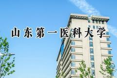 山东第一医科大学2024在福建录取分数线是多少？最低485分/最高595分