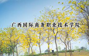 广西国际商务职业技术学院2024在山东录取分数线是多少？最低336分/最高362分
