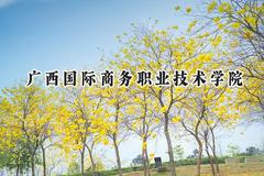 广西国际商务职业技术学院2024在山东录取分数线是多少？最低336分/最高362分