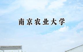 南京农业大学2024在福建录取分数线是多少？最低568分/最高614分