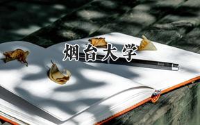 烟台大学2024在青海录取分数线是多少？最低373分/最高476分
