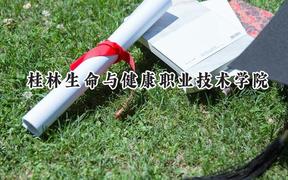 桂林生命与健康职业技术学院2024在山东录取分数线是多少？最低322分/最高363分