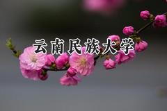 云南民族大学2024在山东录取分数线是多少？最低498分/最高551分