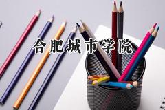 合肥城市学院2024在山东录取分数线是多少？最低444分/最高487分