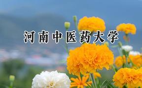 河南中医药大学2024在福建录取分数线是多少？最低486分/最高559分