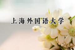 上海外国语大学2024在山东录取分数线是多少？最低581分/最高623分