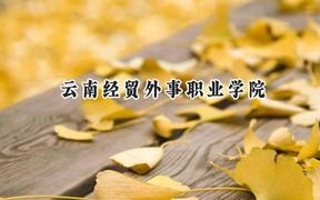 云南经贸外事职业学院2024在青海录取分数线是多少？最低200分/最高260分