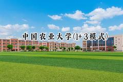 中国农业大学(1+3模式)2024在福建录取分数线是多少？最低592分/最高615分