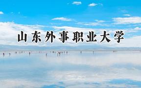 山东外事职业大学2024在山东录取分数线是多少？最低150分/最高487分