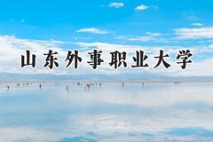 山东外事职业大学2024在山东录取分数线是多少？最低150分/最高487分