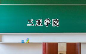 三亚学院2024在青海录取分数线是多少？最低313分/最高392分