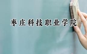 枣庄科技职业学院2024在青海录取分数线是多少？最低258分/最高281分