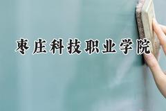 枣庄科技职业学院2024在青海录取分数线是多少？最低258分/最高281分