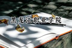 黑龙江职业学院2024在山东录取分数线是多少？最低393分/最高468分
