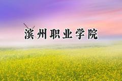 滨州职业学院2024在山东录取分数线是多少？最低279分/最高478分