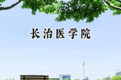 长治医学院2024在山东录取分数线是多少？最低485分/最高565分