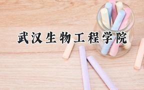 武汉生物工程学院2024在福建录取分数线是多少？最低445分/最高492分