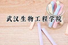 武汉生物工程学院2024在福建录取分数线是多少？最低445分/最高492分