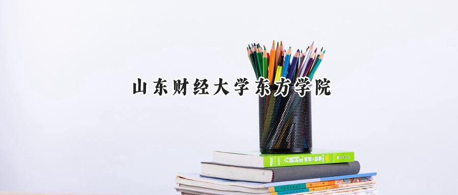 山东财经大学东方学院